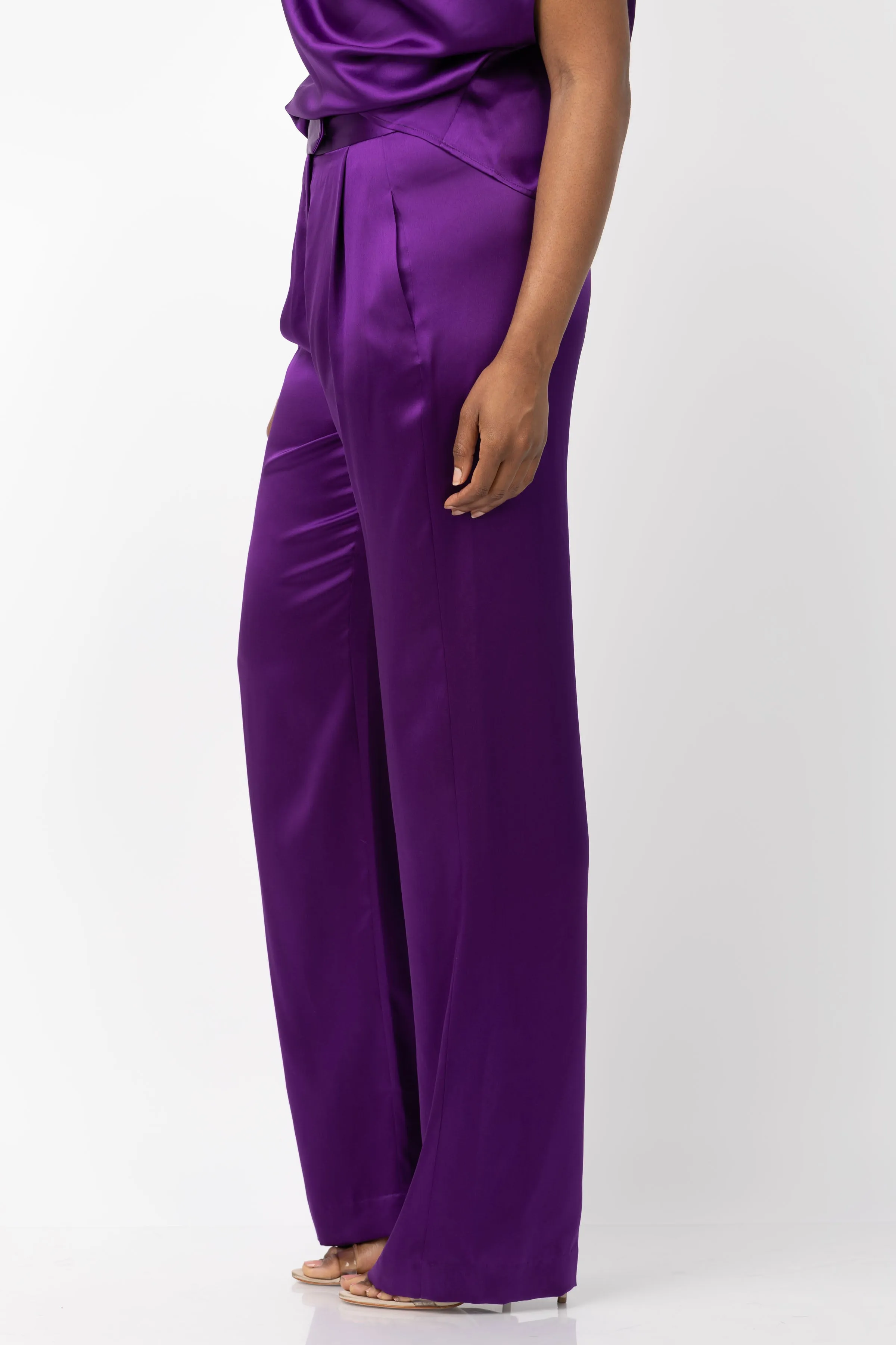 The Sei Wide Leg Pants in Eggplant